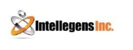 Cyber Security Houston - intellegensinc.com logo