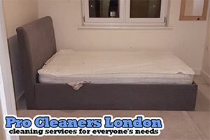 Pro Cleaners Bracknell logo