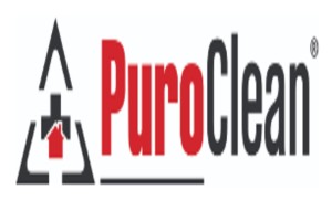 PuroClean Disaster Services logo