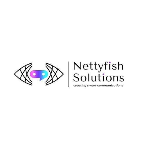 Nettyfish Solutions logo