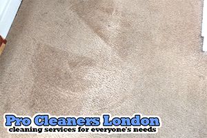 Pro Cleaners Guildford logo