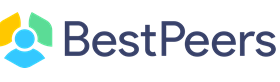 Bestpeers Infosystems Pvt. Ltd. logo