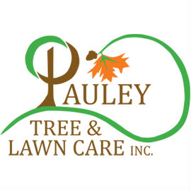 Pauley Tree & Lawn Care Inc logo