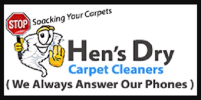 Hen's Dry Carpet Cleaners logo