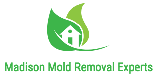 Madison Mold Removal Experts logo