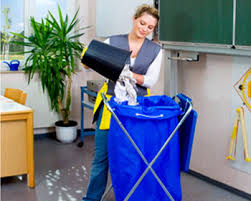 Pro Cleaners Kingston upon Thames logo