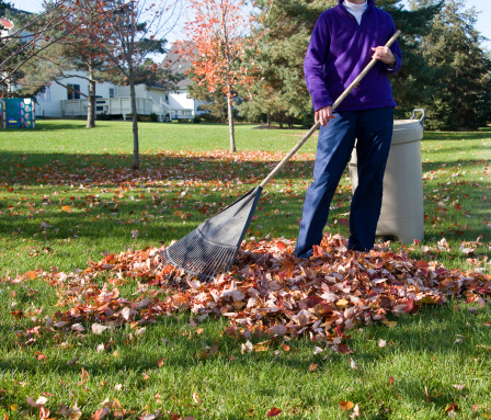 Melendez Lawn Care Services Inc logo