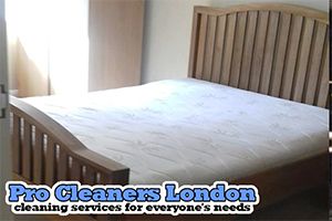 Pro Cleaners Maidenhead logo