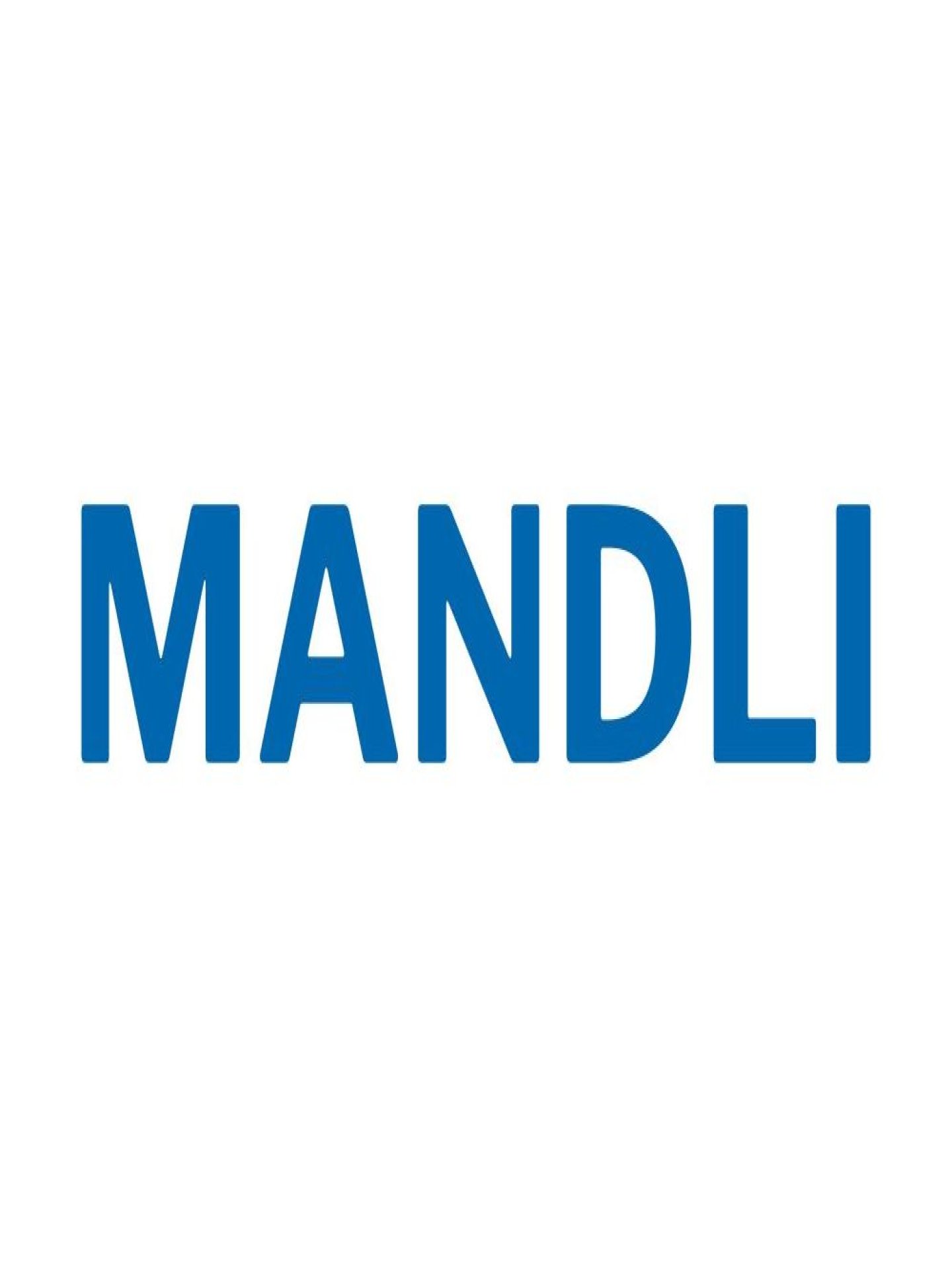 MANDLI TECH logo