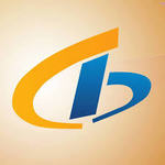 Bliss IT Solutions Pvt. Ltd. logo