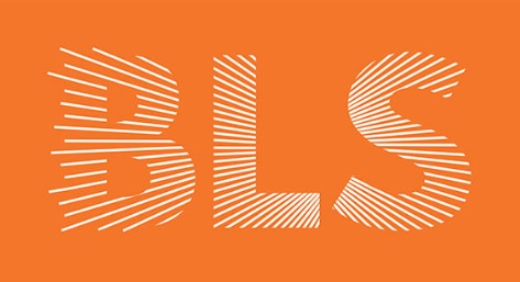 BestLine Solutions logo