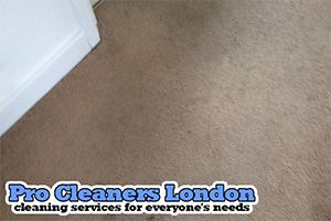 Pro Cleaners Stoke Newington logo