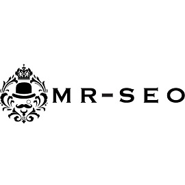 Mr. SEO logo