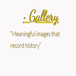 Michael Petersen Photography logo