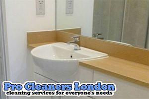 Pro Cleaners Feltham logo
