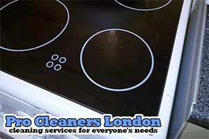 Pro Cleaners Romford logo