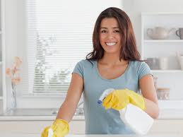 Pro Cleaners Wandsworth logo