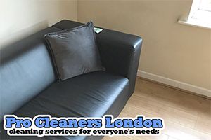 Pro Cleaners Surbiton logo