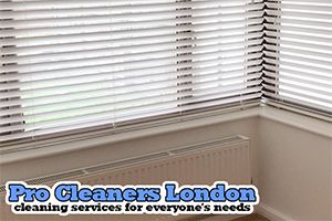 Pro Cleaners Horsham logo