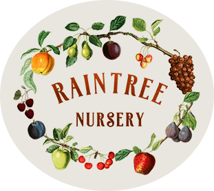 Raintree Nursery logo
