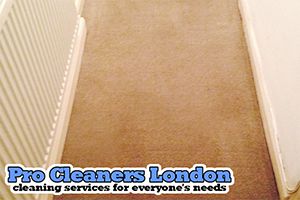 Pro Cleaners Twickenham logo