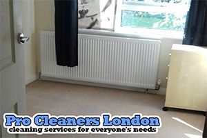 Pro Cleaners Wimbledon logo