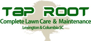 Taproot Lawn Maintenance logo