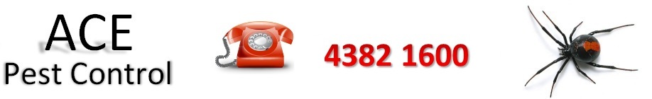 Ace Pest Control logo