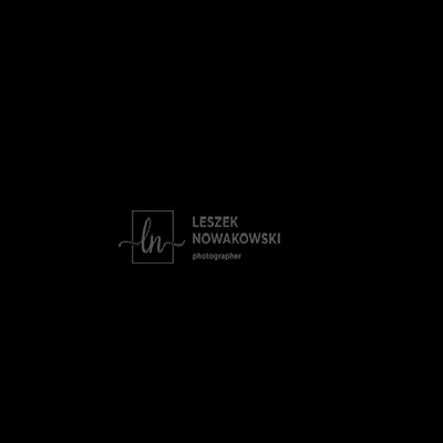 Iceland Photographer | Leszek Nowakowski logo