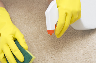 Oven Cleaning Richmond logo