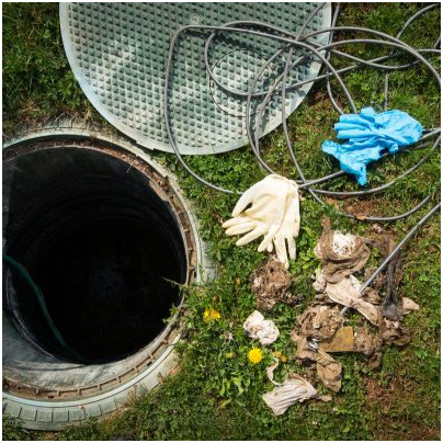 Royal Flush Septic Service logo