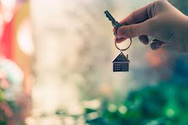 Alex Real Estate Orangeburg logo