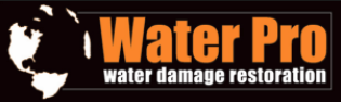 Water Pro Inc. - Water Damage Restoration in Lawrenceville GA logo