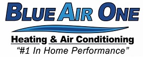 Blue Air One Inc logo