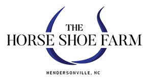 SEN-ASHEVILLE I, LLC logo
