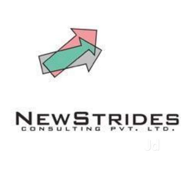NewStrides Consulting Pvt. Ltd logo