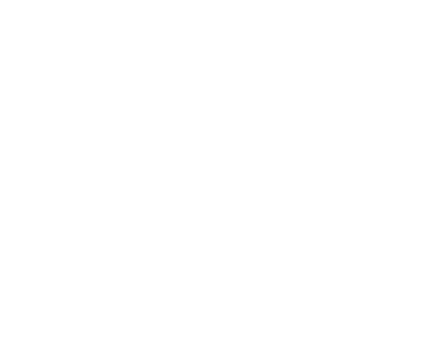 YMCA Blue Ridge Assembly logo