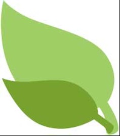 The Natural Alternative Health & Wellbeing logo