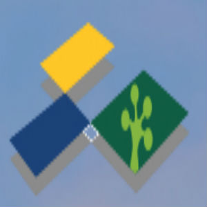 Leap Mortgage logo