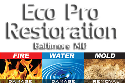 Eco Pro Restoration logo