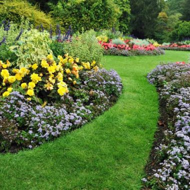 Better Garden Care, LLC logo