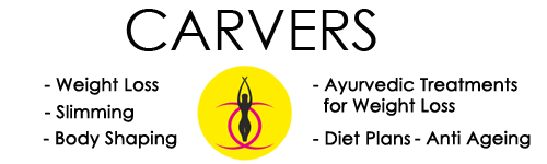 CarversCentre logo