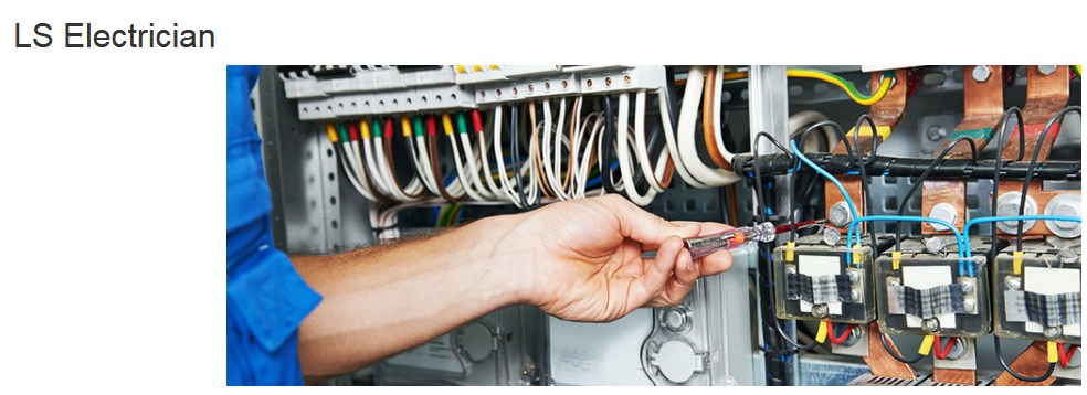 LS Electrician logo