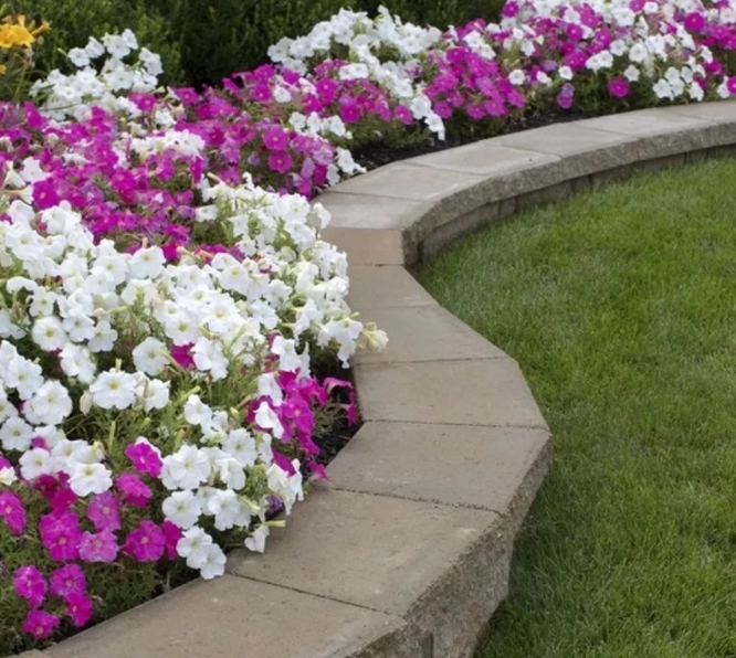 My Lawn Care & Landscaping Co. Inc logo