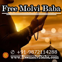 Free Molvi Baba logo