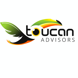 Toucan Advisors logo