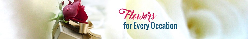 Flowers Delivery logo