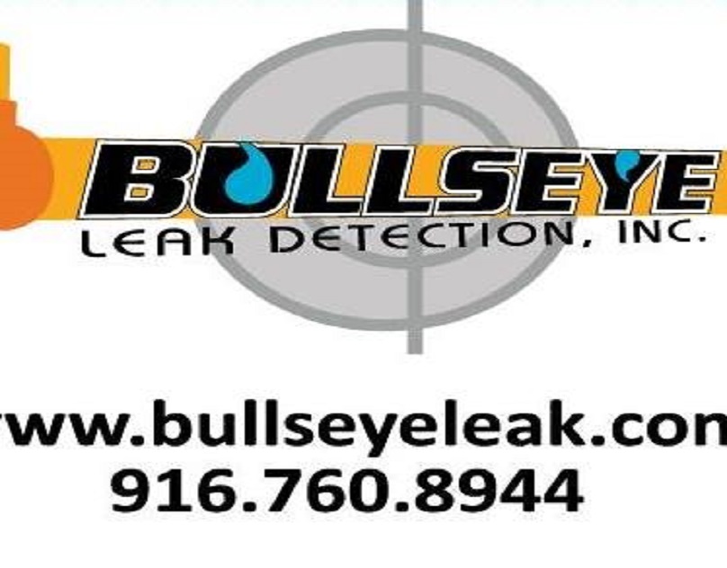 Bullseye Leak Detection, Inc. logo
