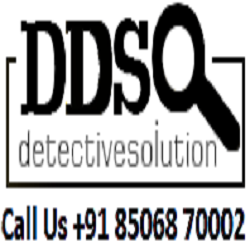 DDS Management Solutions Pvt. Ltd. logo