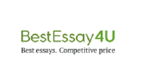 Bestessay4u logo